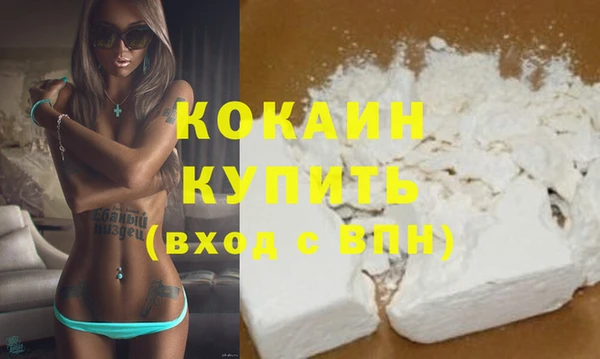 прущие грибы Вязьма