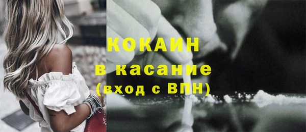 apvp Вяземский