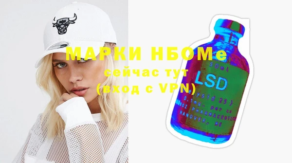 прущие грибы Вязьма