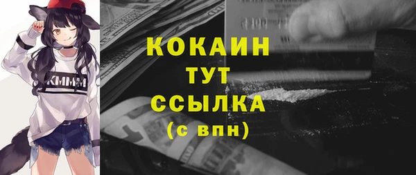 прущие грибы Вязьма