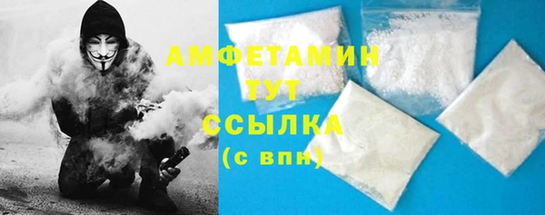 apvp Вяземский