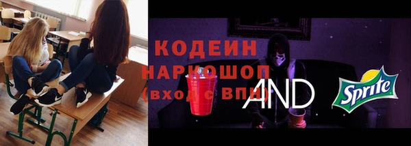 мдпв Горнозаводск