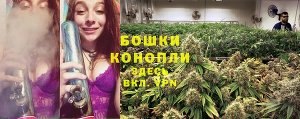 apvp Вяземский