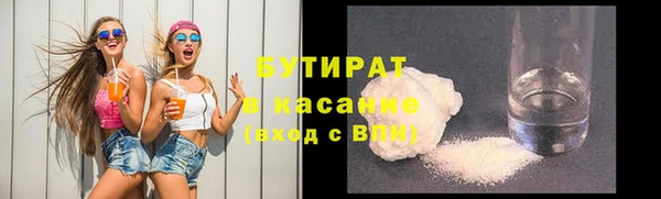 прущие грибы Вязьма