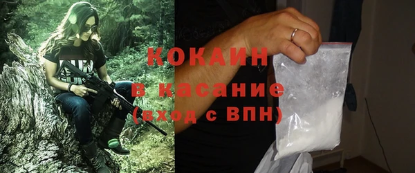 прущие грибы Вязьма