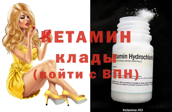 прущие грибы Вязьма
