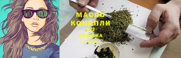 прущие грибы Вязьма