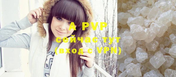apvp Вяземский
