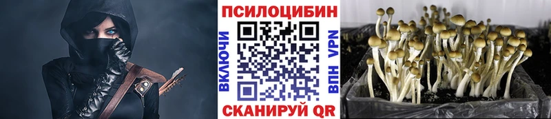 Псилоцибиновые грибы мицелий магазин наркотиков Зеленокумск